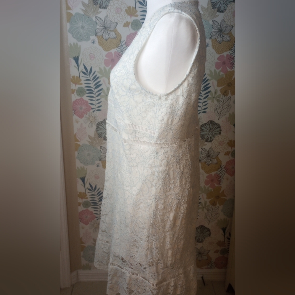 Altard State lace look slip dress Size L - Picture 4 of 9